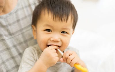 The Importance of Good Early Dental Habits | Walled Lake Dentist